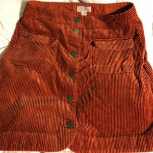 LOFT skirt!!! Brand new